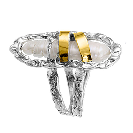 Silver and Gold Ring