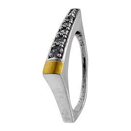 Silver and Gold Ring