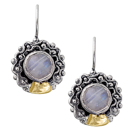 Silver and Gold Earrings