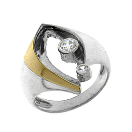 Silver and Gold Ring