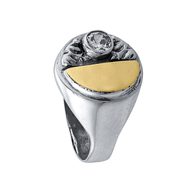 Silver and Gold Ring