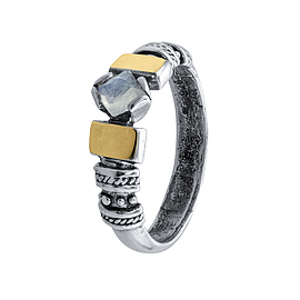 Silver and Gold Ring