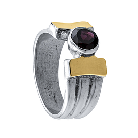 Silver and Gold Ring