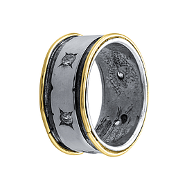 Silver and Gold Ring