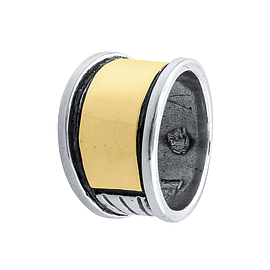 Silver and Gold Ring