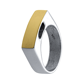 Silver and Gold Ring