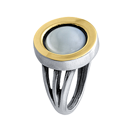 Silver and Gold Ring