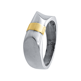 Silver and Gold Ring