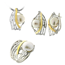Silver and Gold Set
