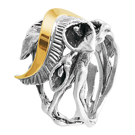 Silver and Gold Ring