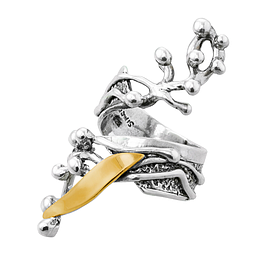 Silver and Gold Ring