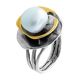 Silver and Gold Ring