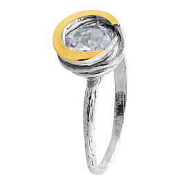 Silver and Gold Ring