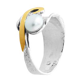 Silver and Gold Ring
