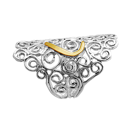 Silver and Gold Ring