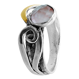 Silver and Gold Ring