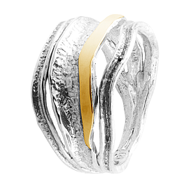 Silver and Gold Ring