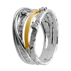 Silver and Gold Ring