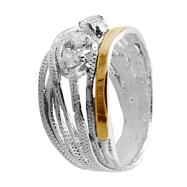 Silver and Gold Ring