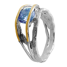 Silver and Gold Ring