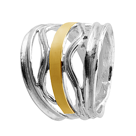 Silver and Gold Ring