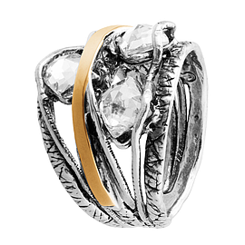 Silver and Gold Ring