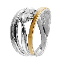 Silver and Gold Ring