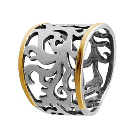 Silver and Gold Ring