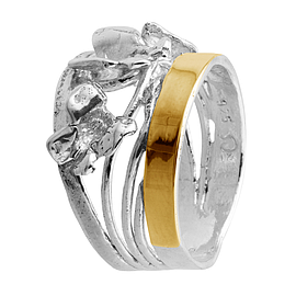 Silver and Gold Ring