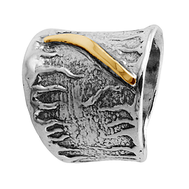 Silver and Gold Ring