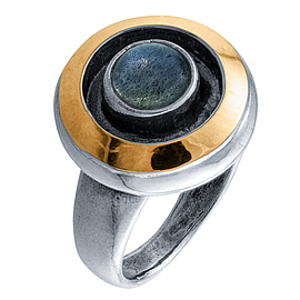 Silver and Gold Ring