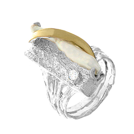 Silver and Gold Ring