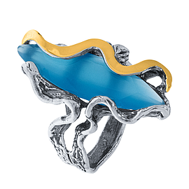 Silver and Gold Ring