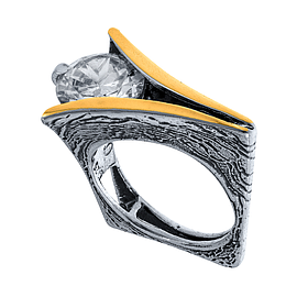 Silver and Gold Ring 