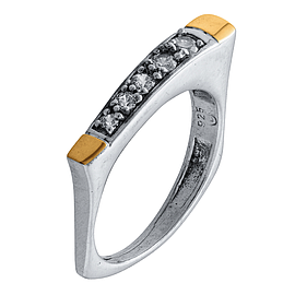 Silver and Gold Ring