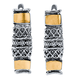 Silver and Gold Earrings