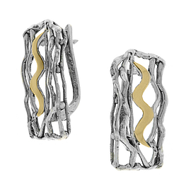 Silver and Gold Earrings