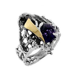 Silver and Gold Ring