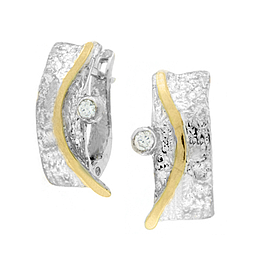Silver and Gold Earrings