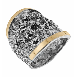 Silver and Gold Ring