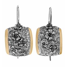 Silver and Gold Earrings