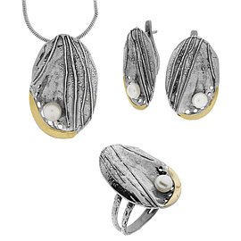 Silver and Gold Set