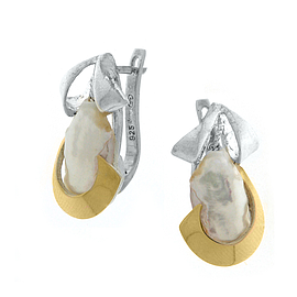 Silver and Gold Earrings