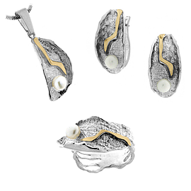 Silver and Gold Set