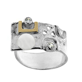 Silver and Gold Ring