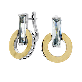 Silver and Gold Earrings