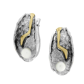 Silver and Gold Earrings