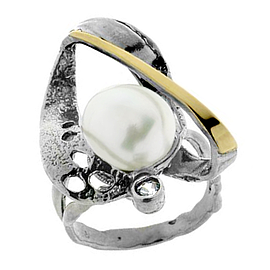 Silver and Gold Ring