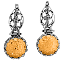 Silver and Gold Earrings