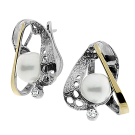 Silver and Gold Earrings